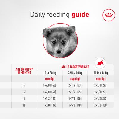 Show full view: Royal Canin Breed Health Nutrition Corgi Puppy Dry Dog Food, 6-lb bag slide 9 of 10