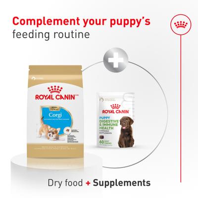 Show full view: Royal Canin Breed Health Nutrition Corgi Puppy Dry Dog Food, 6-lb bag slide 7 of 10