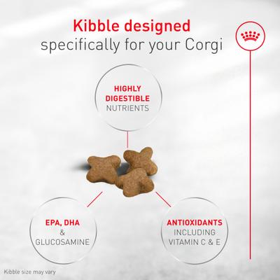 Show full view: Royal Canin Breed Health Nutrition Corgi Puppy Dry Dog Food, 6-lb bag slide 3 of 10