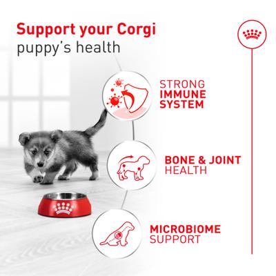 Show full view: Royal Canin Breed Health Nutrition Corgi Puppy Dry Dog Food, 6-lb bag slide 4 of 10