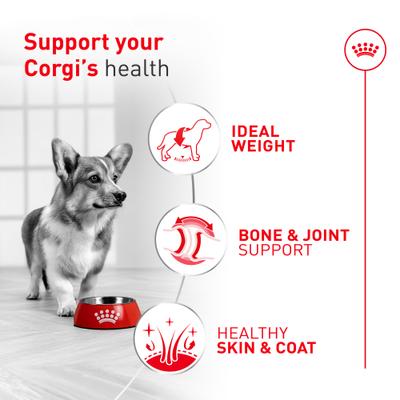Show full view: Royal Canin Breed Health Nutrition Corgi Adult Dry Dog Food, 7-lb bag slide 4 of 10