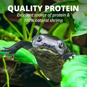 Tetrafauna ReptoTreat Gammarus Turtle, Newt & Frog Treats, .35-oz jar