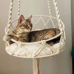 NonoPets Macrame Hanging Hammock Handwoven Cat Bed Boho Rope Swing with Cushion, Large slide 2 of 3