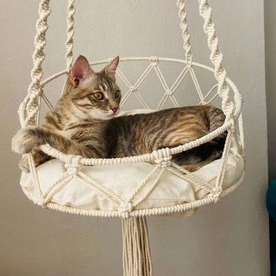Show full view: NonoPets Macrame Hanging Hammock Handwoven Cat Bed Boho Rope Swing with Cushion, Large slide 2 of 3