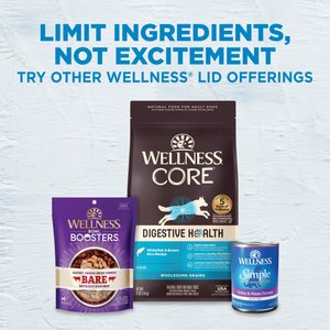 Wellness Simple Limited Ingredient Diet Grain-Free Turkey & Potato Formula Canned Dog Food, 12.5-oz, case of 12