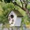 Show in main carousel: Glitzhome Distressed Solid Wood Decorative Outdoor Garden Bird House with 3D Flower slide 3 of 9