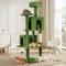 Show in main carousel: TSCOMON Multi-Level 58-in Plush Cat Tree & Condo, Green slide 1 of 10