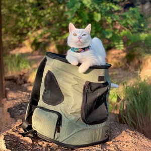 Petsfit Easy-Fit Airline Approved Backpack Dog & Cat Carrier, 13.5 x 12.5 x 17.5-in, Light Green