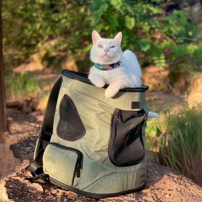Show full view: Petsfit Easy-Fit Airline Approved Backpack Dog & Cat Carrier, 13.5 x 12.5 x 17.5-in, Light Green slide 8 of 11