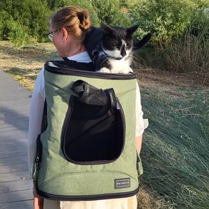 Petsfit Easy-Fit Airline Approved Backpack Dog & Cat Carrier, 13.5 x 12.5 x 17.5-in, Light Green