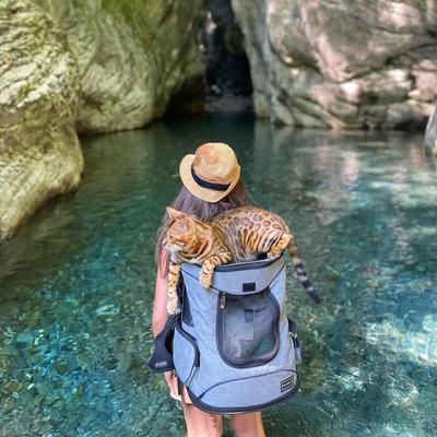 Show full view: Petsfit Easy-Fit Airline Approved Backpack Dog & Cat Carrier, 13.5 x 12.5 x 17.5-in, Gray slide 8 of 11