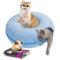 Show in main carousel: HOMAGICO Indoor Peekaboo Donut Tunnel Bed Cat Plush Toy, Blue, Large: 24-in slide 1 of 6
