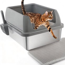 allforpaws Go Fresh Enclosed Stainless Steel Cat Litter Box, 21 x 16 x 11.8-in, Grey