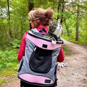 Petsfit Easy-Fit Airline Approved Backpack Dog & Cat Carrier, 13.5 x 12.5 x 17.5-in, Pink