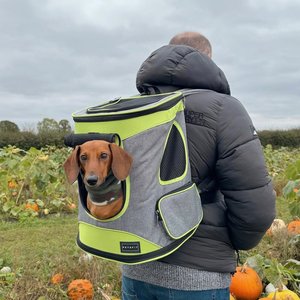 Petsfit Easy-Fit Airline Approved Backpack Dog & Cat Carrier, 13.5 x 12.5 x 17.5-in, Green