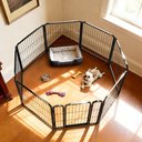 FXW Homeplus Indoor Dog Playpen, Black, 24-in, 8-panel