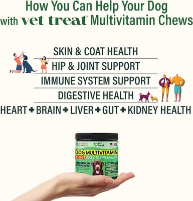 Show full view: Vet Treat Chicken Flavored Chews Multivitamin for Dogs, 9-oz bag slide 3 of 7