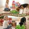 Show in main carousel: Casfuy Snuffle Mat Interactive Puzzle Dog Toy slide 8 of 8