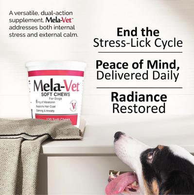 Show full view: Mela-Vet Soft Chew Skin & Coat Supplement for Dogs & Cats, 120 count slide 9 of 12