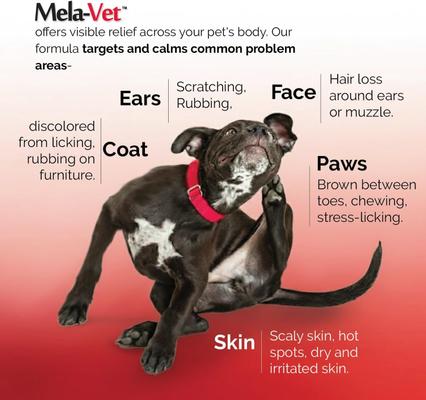 Show full view: Mela-Vet Soft Chew Skin & Coat Supplement for Dogs & Cats, 120 count slide 8 of 12