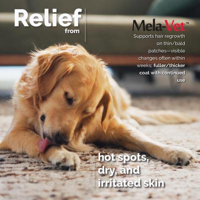 Show full view: Mela-Vet Soft Chew Skin & Coat Supplement for Dogs & Cats, 120 count slide 7 of 12