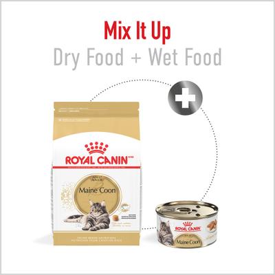 Show full view: Royal Canin Maine Coon Adult Dry Cat Food, 6-lb bag slide 4 of 13