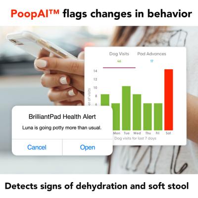 Show full view: BrilliantPad Self-Cleaning Wi-Fi & App Controlled Automatic Potty Pad slide 7 of 9