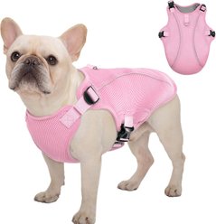 Kuoser Dog Cooling Vest, Pink, Medium