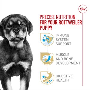 Royal Canin Breed Health Nutrition Rottweiler Puppy Dry Dog Food, 30-lb bag