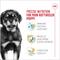 Show in main carousel: Royal Canin Breed Health Nutrition Rottweiler Puppy Dry Dog Food, 30-lb bag slide 3 of 12