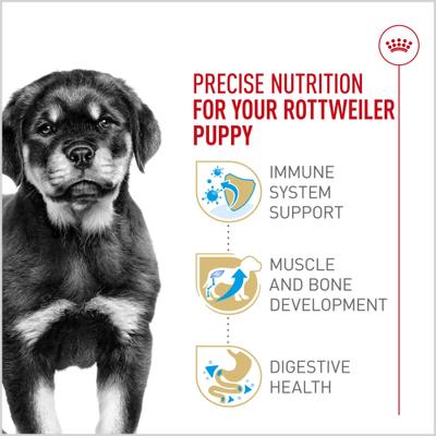 Show full view: Royal Canin Breed Health Nutrition Rottweiler Puppy Dry Dog Food, 30-lb bag slide 3 of 12