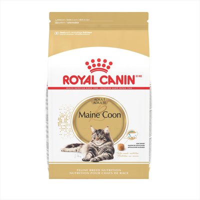 Royal Canin Royal Canin Maine Coon Adult Dry Cat Food, 6-lb bag
