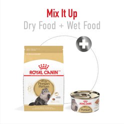 Royal Canin Feline Breed Nutrition Persian Adult Dry Cat Food, 7-lb bag slide 2 of 9
