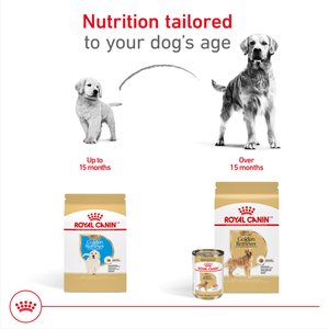 Royal Canin Breed Health Nutrition Golden Retriever Puppy Dry Dog Food, 30-lb bag