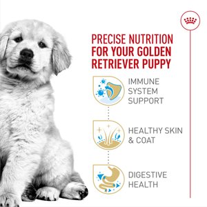 Royal Canin Breed Health Nutrition Golden Retriever Puppy Dry Dog Food, 30-lb bag