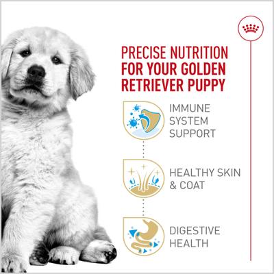 Show full view: Royal Canin Breed Health Nutrition Golden Retriever Puppy Dry Dog Food, 30-lb bag slide 3 of 12