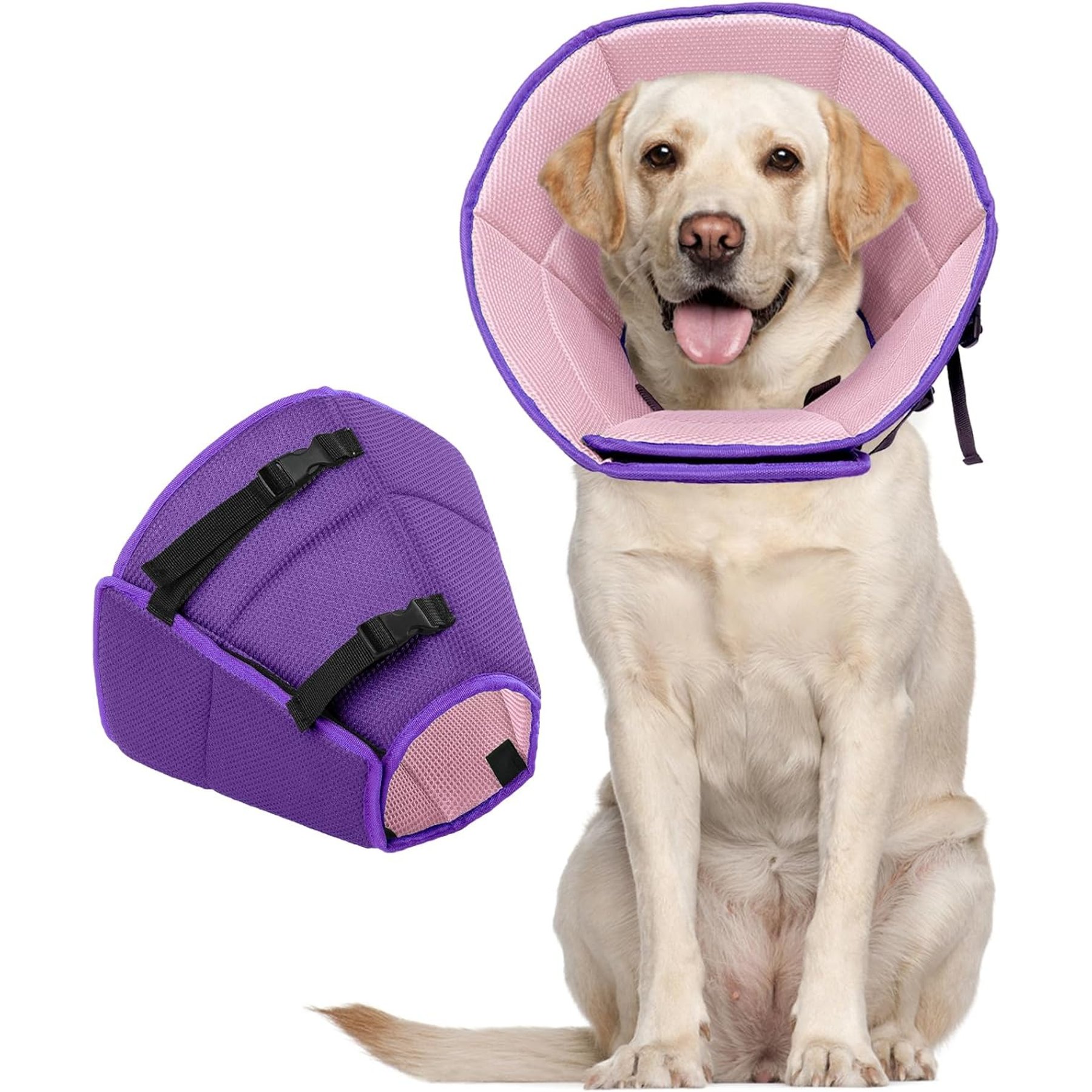 Kuoser Cone Recovery Elizabethan Collar/E-Collar for Dogs, Purple, X-Large
