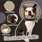 Show in main carousel: Kuoser Cone Recovery Elizabethan Collar/E-Collar for Dogs, Brown, Large slide 5 of 9