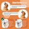 Show in main carousel: Kuoser Cone Recovery Elizabethan Collar/E-Collar for Dogs, Orange, Small slide 4 of 9