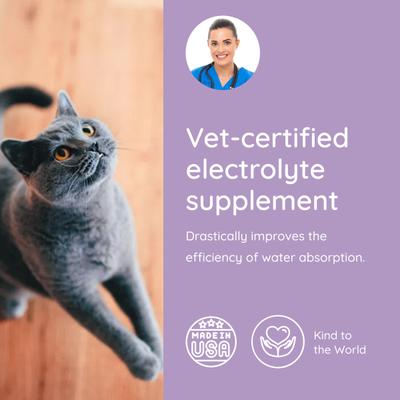 Show full view: Petralyte Salmon Flavored Electrolyte & Joint Supplement for Cats, 16 count slide 5 of 7