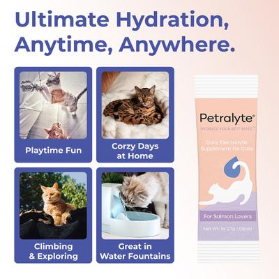 Show full view: Petralyte Salmon Flavored Electrolyte & Joint Supplement for Cats, 16 count slide 6 of 7