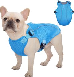 Kuoser Dog Cooling Vest, Blue, Small