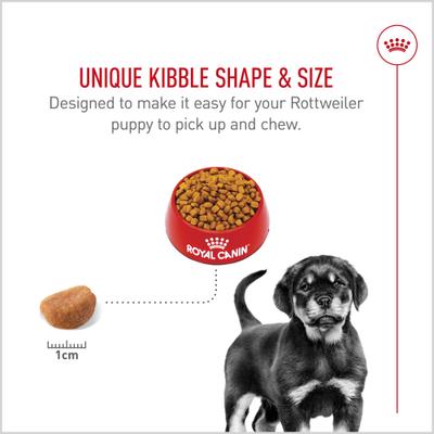 Show full view: Royal Canin Breed Health Nutrition Rottweiler Puppy Dry Dog Food, 30-lb bag slide 4 of 12