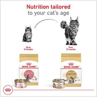 Show full view: Royal Canin Maine Coon Adult Dry Cat Food, 6-lb bag slide 5 of 13