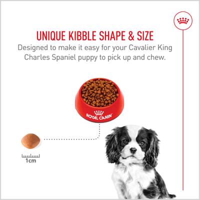 Show full view: Royal Canin Breed Health Nutrition Cavalier King Charles Puppy Dry Dog Food, 3-lb bag slide 4 of 12