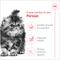 Show in main carousel: Royal Canin Feline Breed Nutrition Persian Kitten Dry Cat Food, 3-lb bag slide 3 of 13