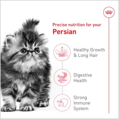 Show full view: Royal Canin Feline Breed Nutrition Persian Kitten Dry Cat Food, 3-lb bag slide 3 of 13