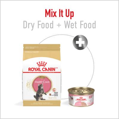 Show full view: Royal Canin Feline Breed Nutrition Persian Kitten Dry Cat Food, 3-lb bag slide 4 of 13