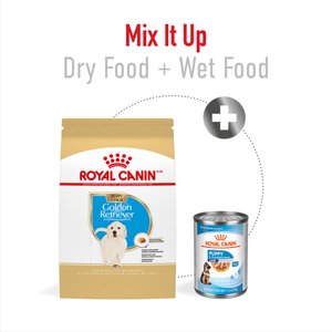 Royal Canin Breed Health Nutrition Golden Retriever Puppy Dry Dog Food, 30-lb bag