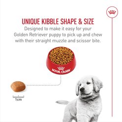 Royal Canin Breed Health Nutrition Golden Retriever Puppy Dry Dog Food, 30-lb bag slide 2 of 9